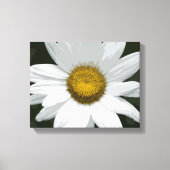 Witte en gele Daisy Flower Canvas Afdruk (Voorkant)