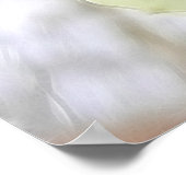 Witte en gele diaffodil poster (Hoek)