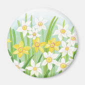 Witte en gele diaffodils magneet (Voorkant)
