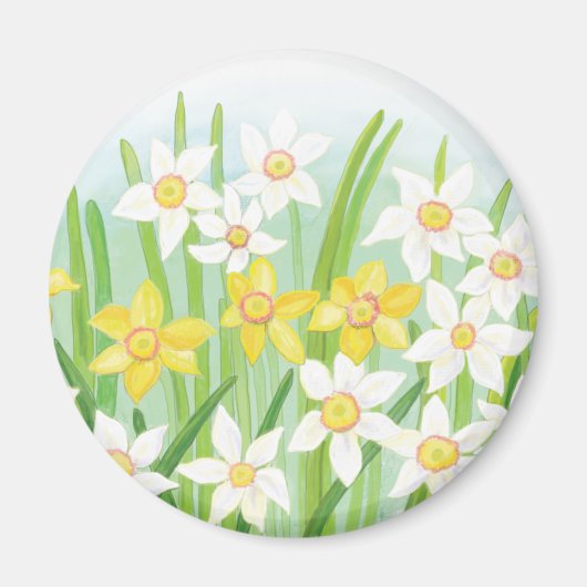 Witte en gele diaffodils magneet (Voorkant)