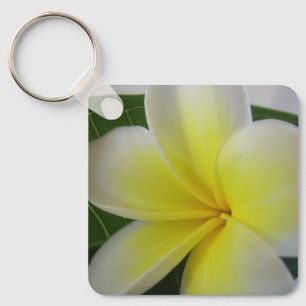 Witte en gele frangipane sleutelhanger