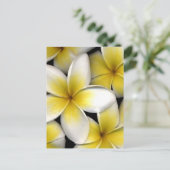 Witte en gele frangipani bloemen met bladeren in briefkaart (Staand voorkant)