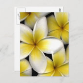 Witte en gele frangipani bloemen met bladeren in briefkaart (Voorkant / Achterkant)