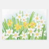 Witte en gele lentesaffodils inpakpapier vel (Voorkant 2)