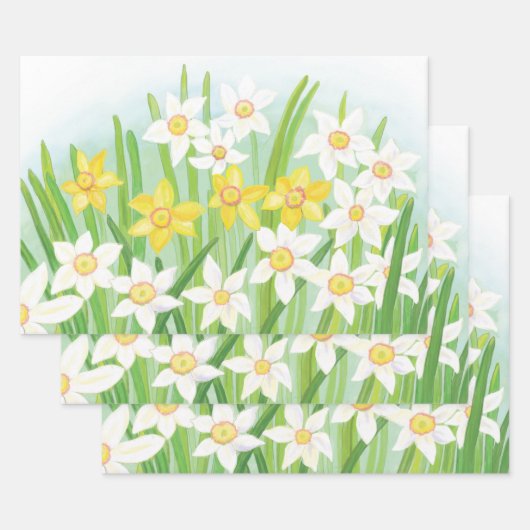 Witte en gele lentesaffodils inpakpapier vel (Set)