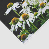 Witte en gele madeliefjes op zwart tissuepapier (Detail)