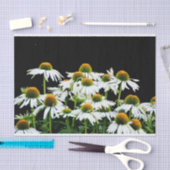 Witte en gele madeliefjes op zwart tissuepapier (Craft)