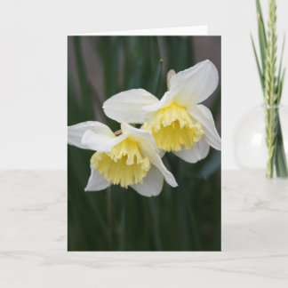 Witte en gele Narcissen Wenskaart Aankondiging