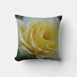 Witte en gele roos kussen