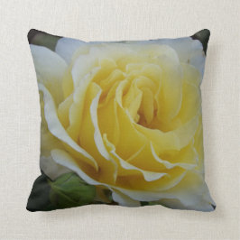 Witte en gele roos kussen
