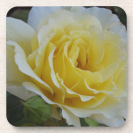 Witte en gele roos Onderzetters