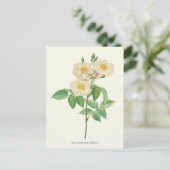  witte en gele roze botanische afdrukken briefkaart (Staand voorkant)