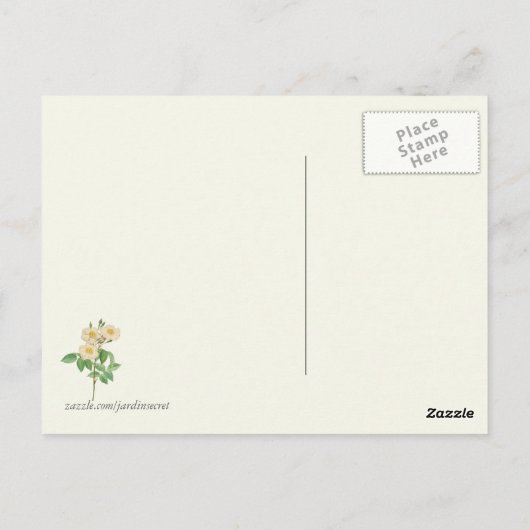 witte en gele roze botanische afdrukken briefkaart (Achterkant)