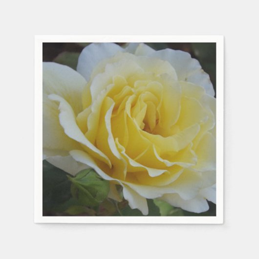Witte en gele rozenservetten servetten (Voorkant)