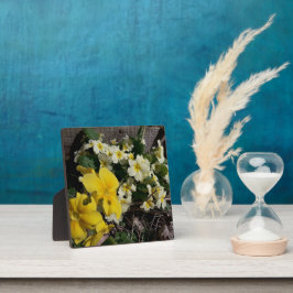 Witte en gele tuinbloemen fotoplaat