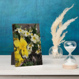 Witte en gele tuinbloemen fotoplaat