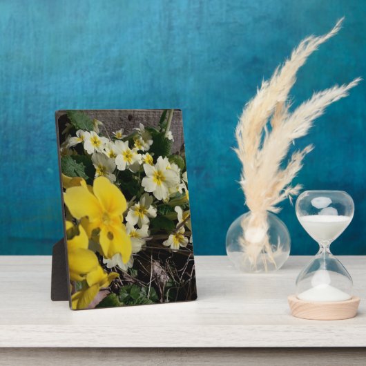 Witte en gele tuinbloemen fotoplaat (Zijkant)