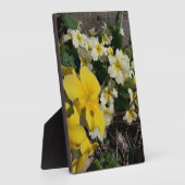 Witte en gele tuinbloemen fotoplaat (Zijkant)