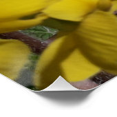 Witte en gele tuinbloemen perfect poster (Hoek)