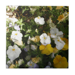 Witte en gele viooltjes tegeltje