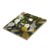 Witte en gele viooltjes tegeltje (Zijkant)