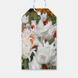 Witte en gembertulpen in de tuin cadeaulabel