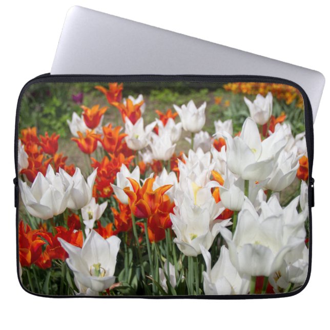 Witte en gembertulpen in de tuin laptop sleeve (Voorkant)