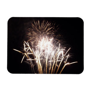 Witte en gouden vuurwerk I Patriotische viering Magneet
