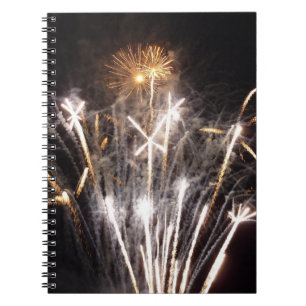 Witte en Gouden Vuurwerk II Patriottische Viering Notitieboek