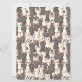 Witte en grijze kattenpatroon (Achterkant)
