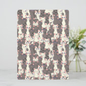 Witte en grijze kattenpatroon (Staand voorkant)