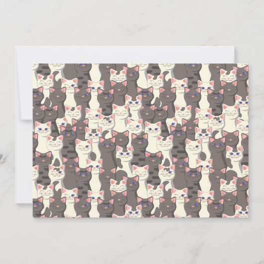 Witte en grijze kattenpatroon aankondiging (Voorkant)