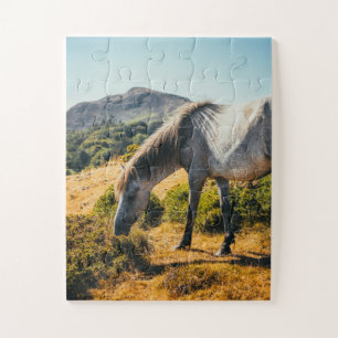 Witte en grijze paarden grazen met zonlicht omlaag legpuzzel