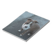 Witte en grijze Pitbull op beton Notitieblok (Linkerzijde)