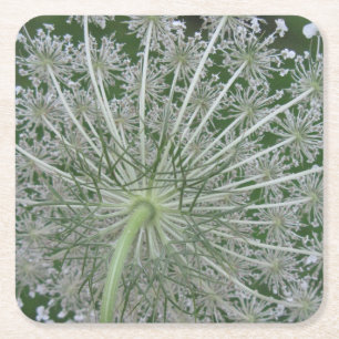 Witte en groene Queen Anne's Lace Flower Kartonnen Onderzetters