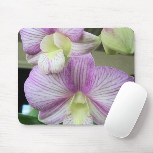 Witte en lichte paarse orchideeën op een mousepad muismat (Met muis)