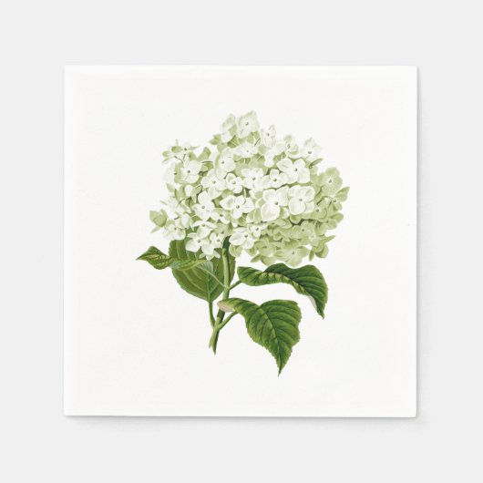 Witte en lichtgroene antieke hortensia bloem servet (Voorkant)