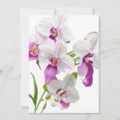 Witte en magenta orchideeën schilderij Vrijgezelle Kaart (Achterkant)