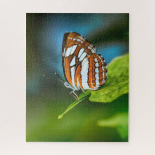 Witte en oranje gestreepte vlinder legpuzzel