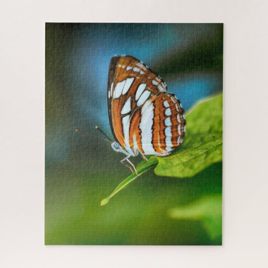Witte en oranje gestreepte vlinder legpuzzel (Verticaal)
