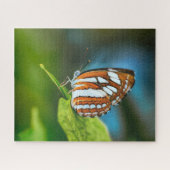 Witte en oranje gestreepte vlinder legpuzzel (Horizontaal)