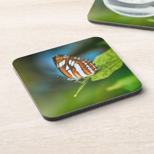 Witte en Oranje gestripte vlinder Bier Onderzetter (Linkerzijde)