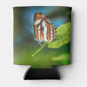 Witte en Oranje gestripte vlinder Blikjeskoeler (Voorkant)