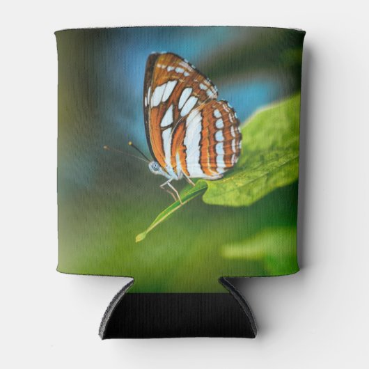 Witte en Oranje gestripte vlinder Blikjeskoeler (Voorkant)