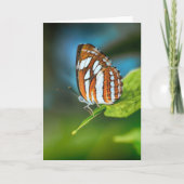 Witte en Oranje gestripte vlinder Kaart (Voorkant)