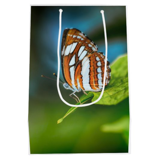 Witte en Oranje gestripte vlinder Medium Cadeauzakje (Achterkant)