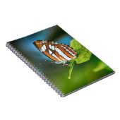 Witte en Oranje gestripte vlinder Notitieboek (Rechterzijde)