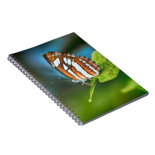 Witte en Oranje gestripte vlinder Notitieboek (Rechterzijde)