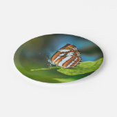 Witte en Oranje gestripte vlinder Papieren Bordje (Gekanteld)