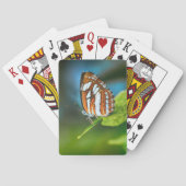 Witte en Oranje gestripte vlinder Pokerkaarten (Achterkant)